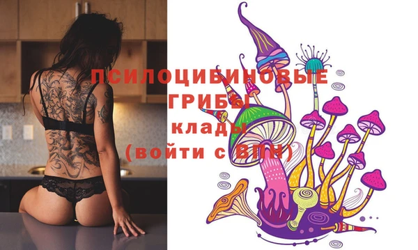 твердый Абинск
